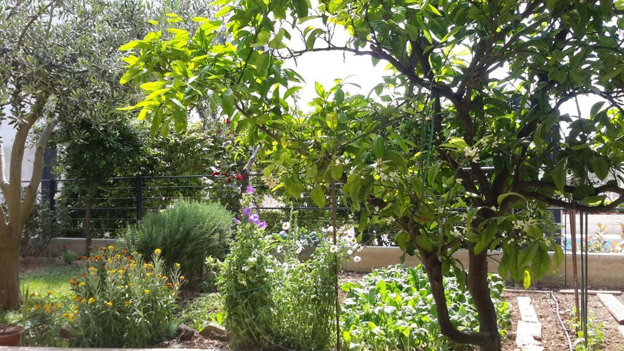 Arya Apartment Podstrana Bagian luar foto